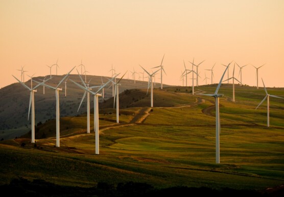 American public power association e IB Th5 DXW9w unsplash