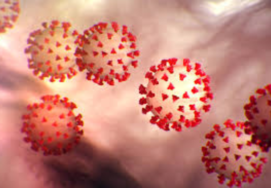 Coronavirus 2